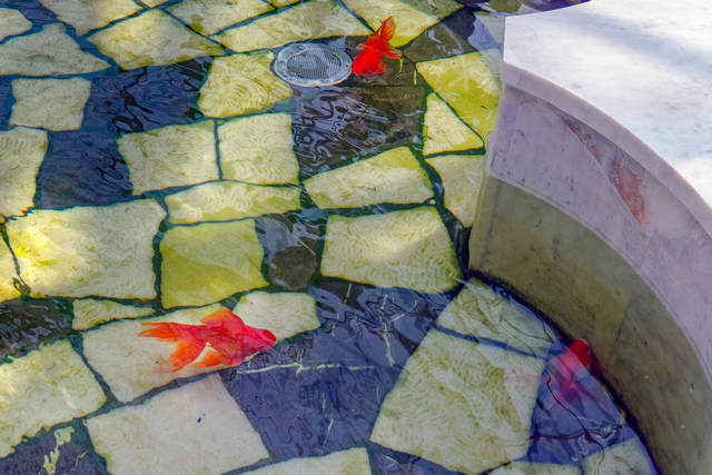 Now the fountain is decorated with decorative fish